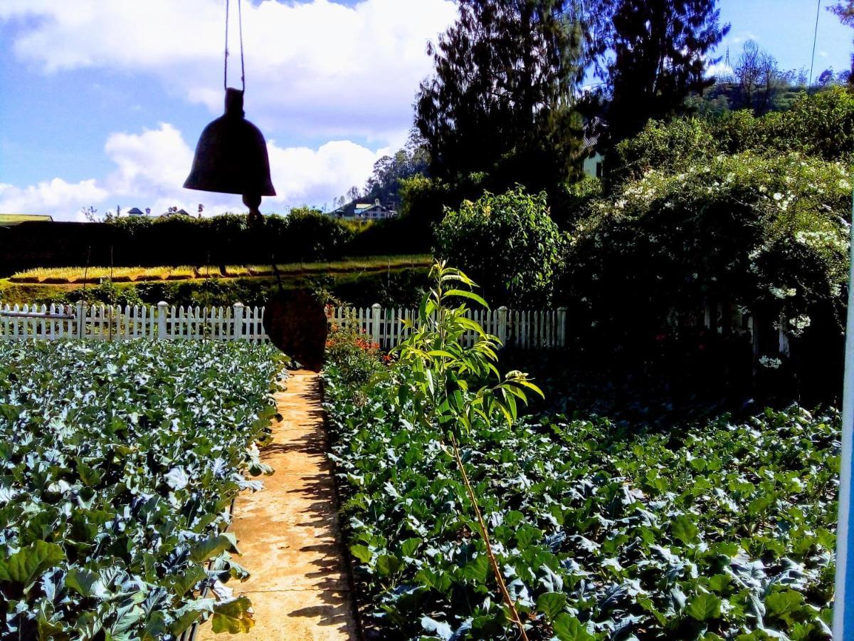 Vibe Way Hotel Nuwara Eliya Exterior photo